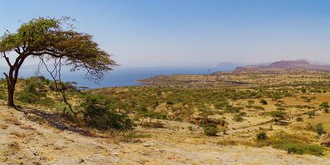 Trip to Church of Adadi Mariam and Tiya Stele