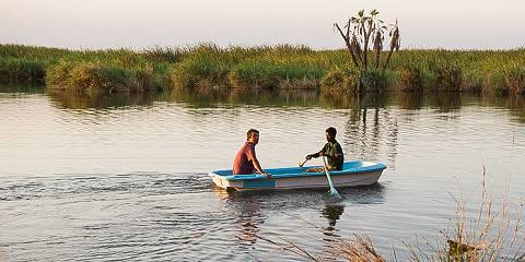 Safari Trip to Awash National Park