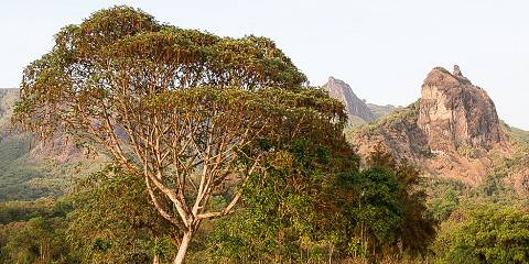 Bale Mountains Discovery Tour