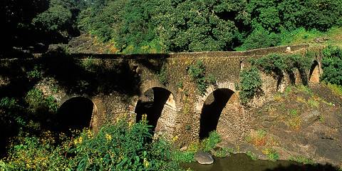1-Day Debre Libanos & Jemma Gorge Trip from Addis Ababa