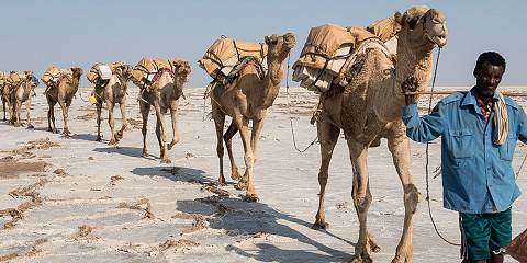 21-Day Ethiopia Grand Discovery Tour a Lifetime Journey
