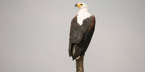 3-Day Arba Minch Nature & Culture Adventure Tour