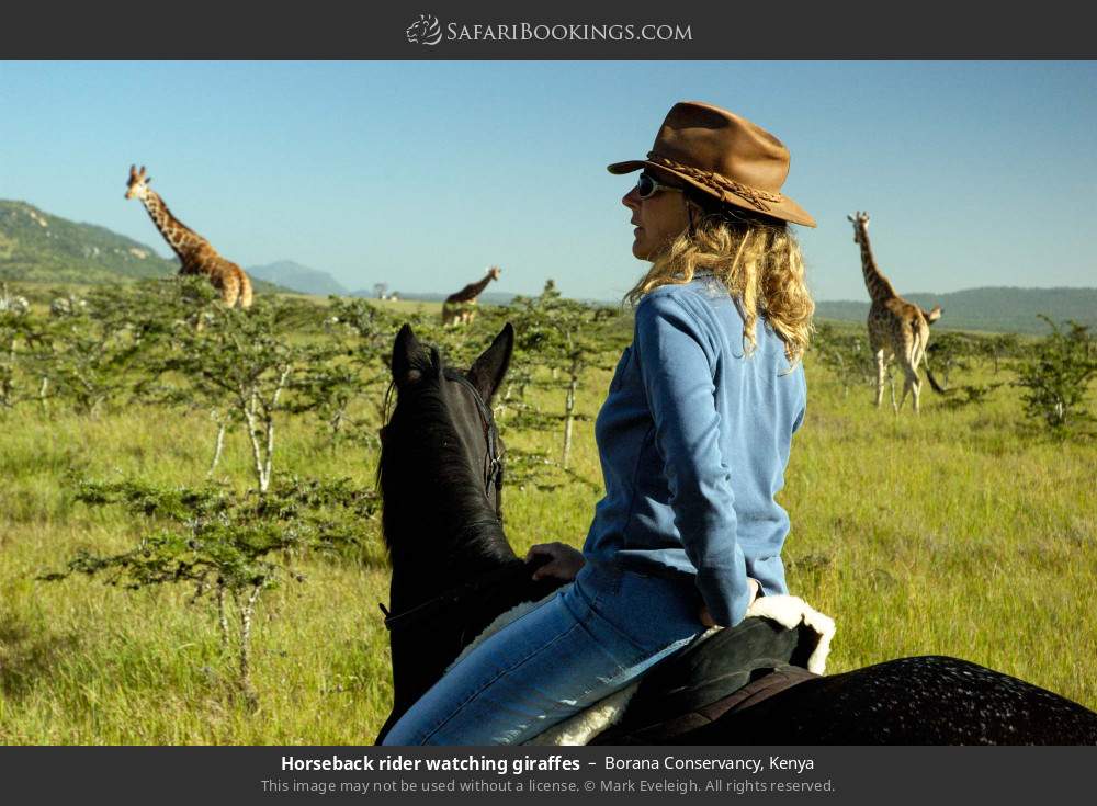 Horseback rider watching giraffes in Borana Conservancy, Kenya