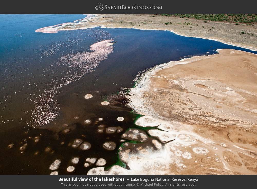 Beautiful view of the lakeshore in Lake Bogoria National Reserve, Kenya