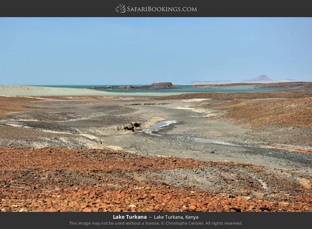 Shore of Lake Turkana in Lake Turkana, Kenya