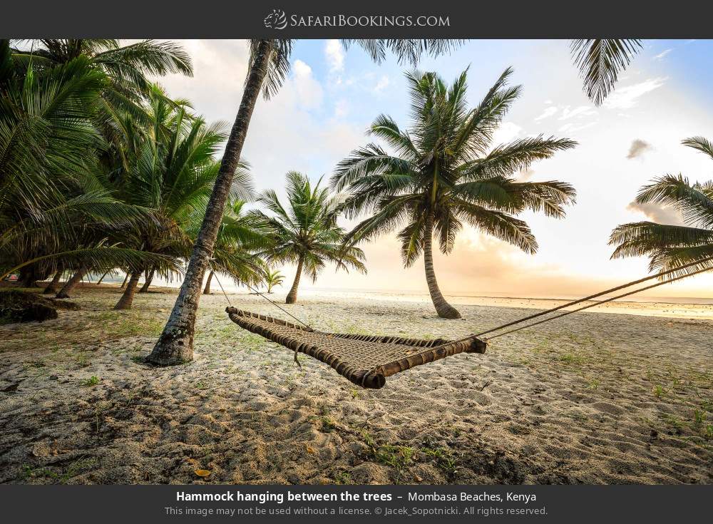 Hammock hanging between the trees, Diani Beach in Mombasa Beaches, Kenya