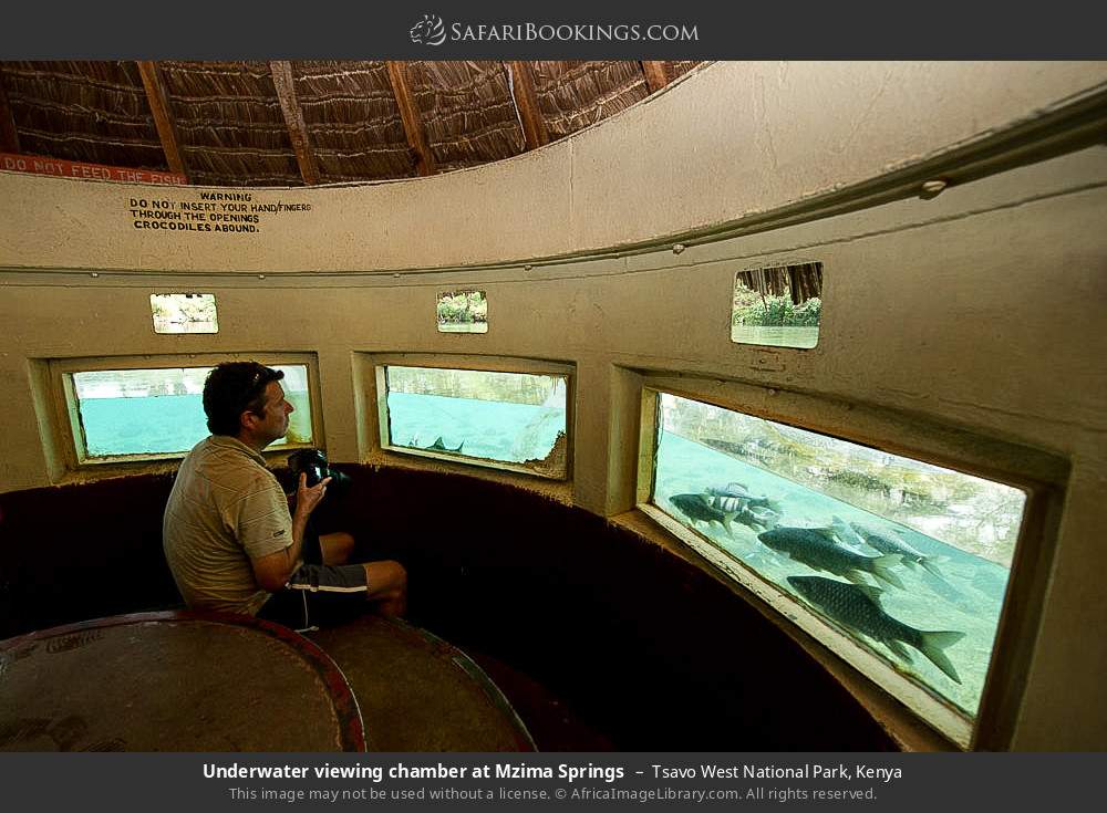 Underwater viewing chamber at Mzima Springs in Tsavo West National Park, Kenya
