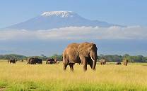 Amboseli National Park