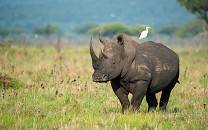 Ruma National Park