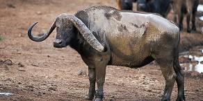 Open Photos
