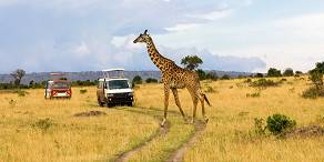 Open Photos