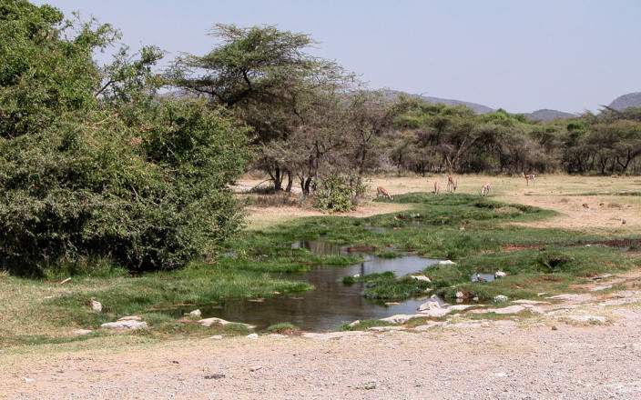 Open Photos