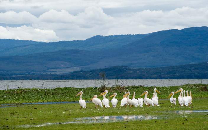 Open Photos