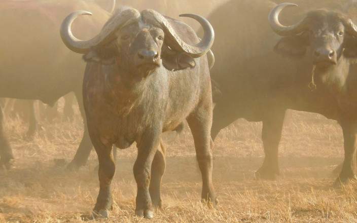 Open Photos
