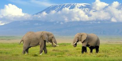 Kenya