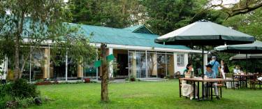 Elsamere Lodge