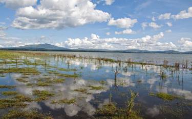 Lake scene