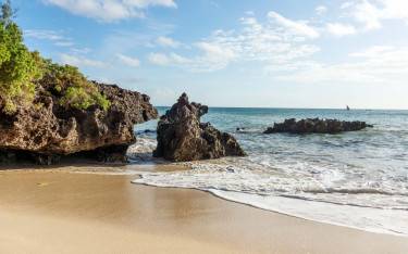 Rocky shore