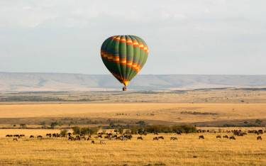 Wildebeest and zebras seen from a hot-air balloon