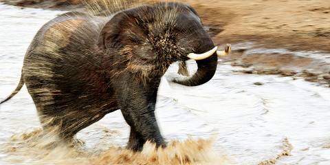 Ultimate Kenya Group Safari