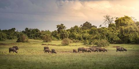6-Day Private Meru NP/ Samburu NR/Aberdares/Sweetwaters