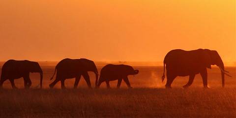 14-Day Kenya Family Adventure Safari