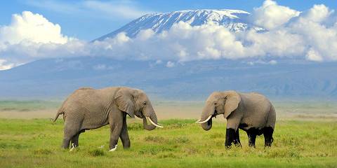 5-Day Budget Safari to Kenya