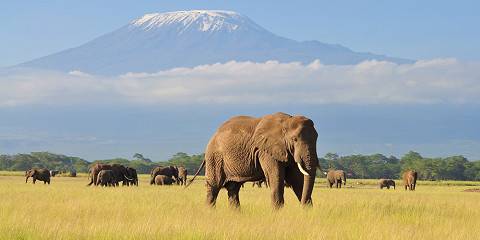3-Day Amboseli National Park Private Safari Tour