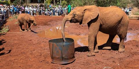 3-Day Samburu Trip Escape – the Home of Special Five