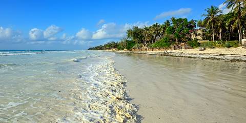 10-Day Coastline Bush and Beach Escapade