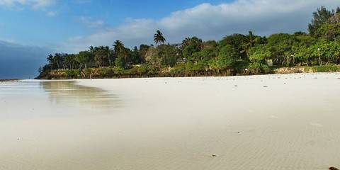 Classic Game Safari and Beach Holiday