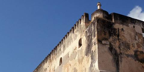 Mombasa Private City Tour & a Visit to Haller Park