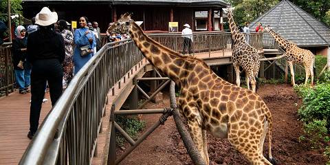 Nairobi National Park Exclusive Adventure