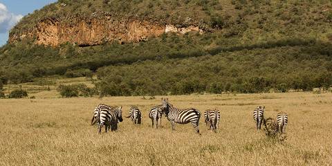 1-Day Hell's Gate NP & Lake Naivasha Private Tour