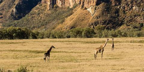 Group Tour to Hells Gate Park & Optional Naivasha