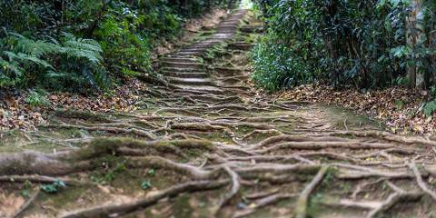 5-Day Mount Kenya Scenic Trekking Expedition