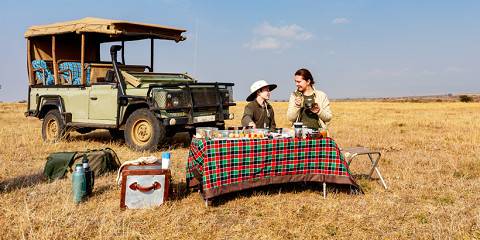 2-Day Tsavo West Safari from Coast Region