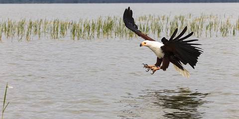 12-Day Safari to Kenya Most Iconic Wildlife Destinations