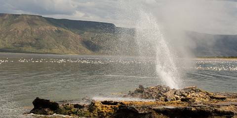 4-Day Giant Trail in the Coastal Circuit Safari