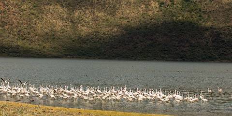 10-Day Explore Kenya's Iconic Safari Destinations