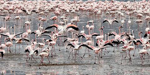 Of Wildlife and Beach Relaxation