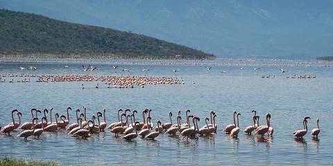 5-Day Kenya Signature Trip