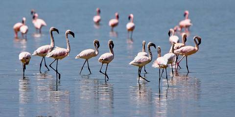 7-Day Into the Wild Mid-Range Safari