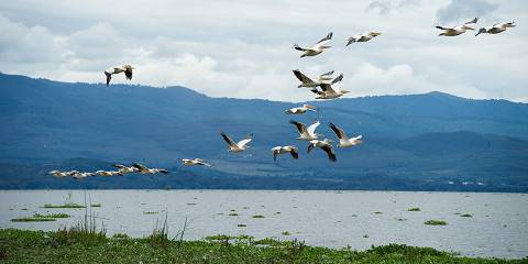 6-Day Explorer's Edge Safari