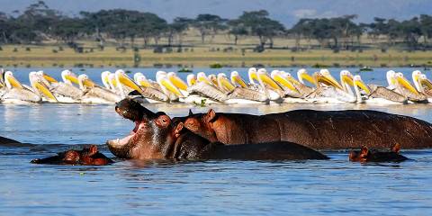 5-Day Hell's Gate-Longonot-Maji Moto Walk in the Wild