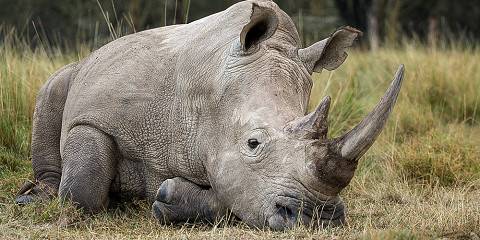 7-Day Group Joining Wildlife Exploration