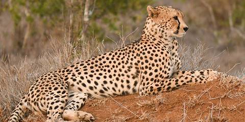 Great Rift Valley to Mara Odyssey & Diani Beach