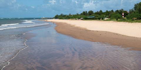 7-Day Nairobi, Amboseli, Salt Lick, Tsavo & Diani Trip