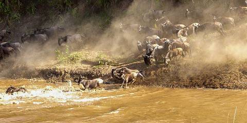 3-Day Big 5 Masai Mara Luxury Safari