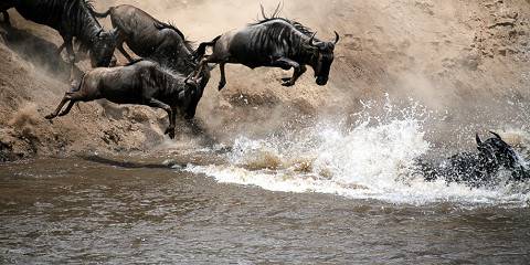 7-Day Kenya Expedition - a Luxury Safari Itinerary
